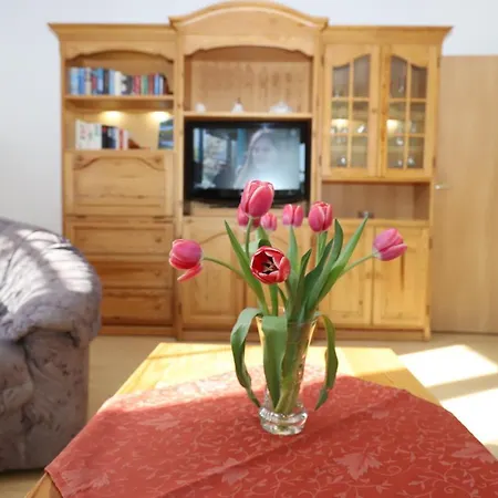 Apartment In *